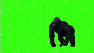 Green Screen Cartoon King Kong Walking  | Copyright free green screen King Kong Walking