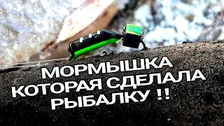 БЕЗМОТЫЛКА ПЕРВЫЙ ЛЁД | ЛОВЛЯ ПЛОТВЫ НА БЕЗМОТЫЛКУ В МОРОЗ