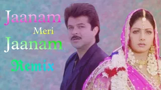 Jaanam Meri Jaanam Remix | Udit Narayan, Alka Yagnik | Sridevi | Mr.Bechara (1996) | Romantic Song