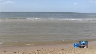 Shark sightings cause closures at Norfolk beaches