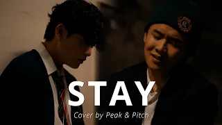 STAY - The Kid LAROI, Justin Bieber[Cover by PEAK & PITCH]