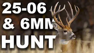 25-06 & 6mm Deer Hunt