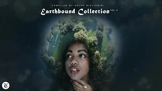 Earthbound Collection Vol 2 (Continuous Mix by Salvo Migliorini)
