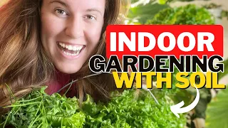 Growing Lettuce Indoors With Potting Soil & No Hydroponics. 3 Things To Consider Growing Indoors 🥬