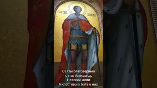 Чудотворная икона благоверного князя Александра Невского