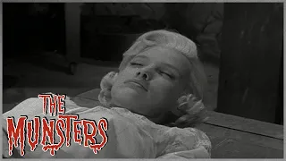 Sleeping Cutie | The Munsters