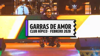 Garras de Amor - Fiebre del Memo - Febrero 2020