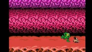 Battletoads NES Gameplay Demo - NintendoComplete