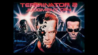 Terminator 2: Judgement Day Pinball  !!!