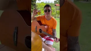 Zezé Di Camargo & Luciano - Será Que Foi Saudade (cover Marcelo Coelho)