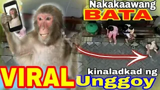 VIRAL NGAYUN UNGGOY