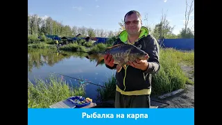 Бешенные поклевки карпа, гнет крючки, рвет лески.