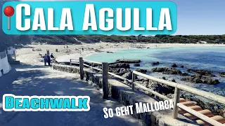 Cala Agulla Mallorca Beachwalk mittags türkises Wasser