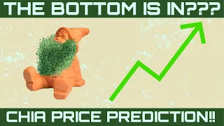 IS CHIA STARTING ITS BULL RUN??? || CHIA (XCH) price prediction & analysis!