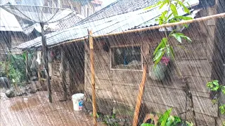 Super heavy rain in my village Indonesia, beautiful village, fell asleep with the sound of rain