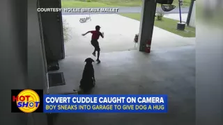 Boy Sneaks Into Garage To Give Dog a Hug VIDEO