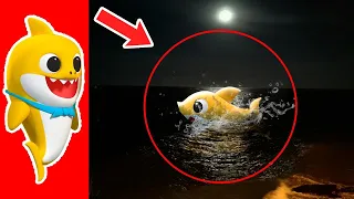 5 BABY SHARK  EXE Captados en Cámara en la Vida real