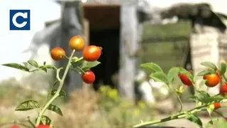 Один військовий загинув внаслідок обстрілів на Донбасі