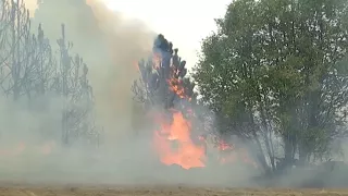 ¿Qué hacer en caso de un incendio forestal?