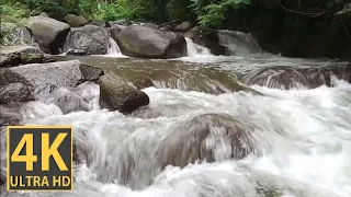 1 hour of beautiful river flowing sounds sleep therapy