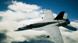 エースコンバット7 トップガン:マーベリックコラボ機体　F/A-18E  | TGM