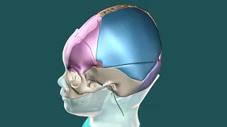 Hydrocephalus Repair