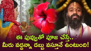 ఈ పువ్వుతో పూజ చేస్తే మీరు వద్దన్నా డబ్బు వస్తూనే ఉంటుంది..! #devishreeguruji #omkaram  #flowers