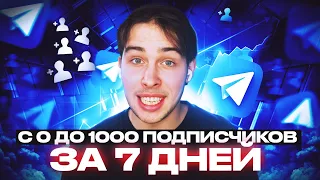 Как набрать 1000 подписчиков в Telegram за 7 дней с нуля