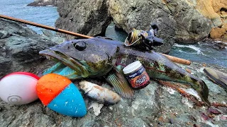 Catch and Cook of a Lifetime on a Death Defying Cliff