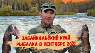 Рыбалка на двух таежных реках в сентябре 2021. Где пусто, а где густо?