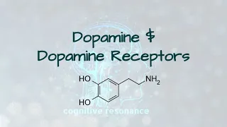 Dopamine And Dopamine Receptors - Subliminal