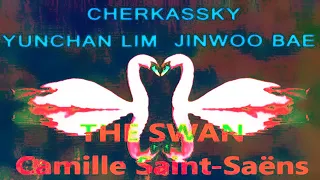 Listen to the Mesmerizing Performance of "The Swan" by Cherkassky Yunchan Lim and Jinwoo Bae