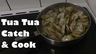 Tua Tua Catch and Cook