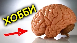 Хобби - Быстро Развивающие Интеллект [BrainShow]