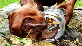 Amazing Fish Trap With Plastic Bottle | Catfish Catching | Fish Gravy | Fish Curry | Natural Cooking