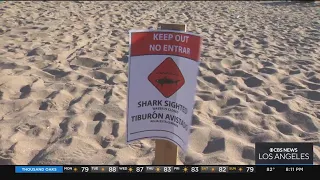Shark sighting closes parts of Huntington Beach