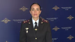 О задержании авиадебошира в аэропорту Домодедово