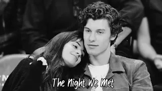 The Night We Met || Shawmila ||