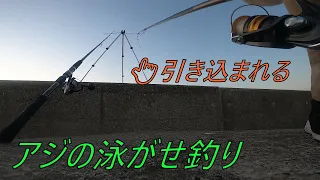 泳がせ釣りで開始早々アジが襲われる！その捕食者が衝撃だった。回遊した青物の水中撮影も最後にあるよ！