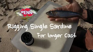 Rigging Sardine for Long cast