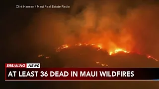 HAWAII WILDFIRES: At least 36 people have died in fires burning through Maui, county reports