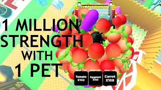 1M Strength Challenge with 1 Pet at START and FARM area only on Strongman Simulator Roblox