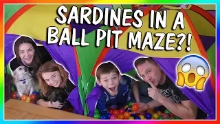 SARDINES IN A BALL PIT MAZE! | We Are The Davises