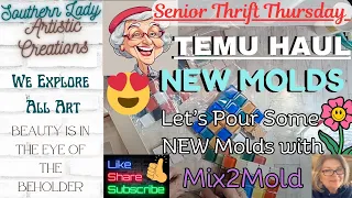 Senior Thursday Thrift Day Haul 🛒 A Temu Package 🛒 NEW Molds 🎨New Gamblin Pigments with Mix2Mold 🎨