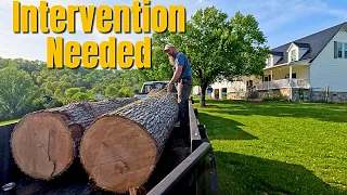 Having A LOG Addiction Can Be Harmful To Trailers