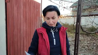 Посадили саженцы киви Закарпатье Чоп