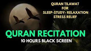 Quran Recitation 10 Hours Black Screen No ADS!   ساعات شاشة سوداء عالية الجودة للقرآن الكريم