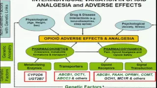 Personalized Perioperative Opiod Analgesia