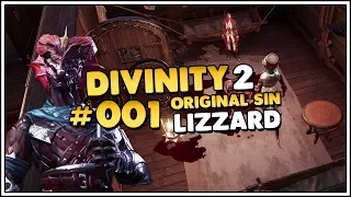 Let's Play Divinity Original Sin 2 👑 Die Quelle muss versiegen #001 [Deutsch/German]