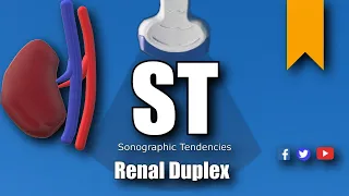 Renal Artery Duplex Anatomy, Protocol and Pathology